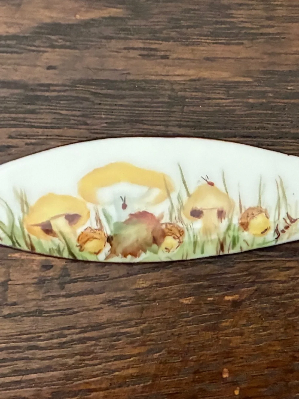 Hand Painted Butter or Cheese Plate Signed